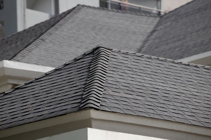 Roof Shingles Replacement detail